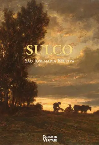 Cover of Sulco