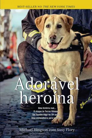 Cover of Adorável Heroína