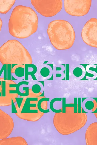 Cover of Micróbios