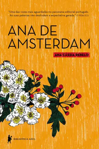 Cover of Ana de Amsterdam