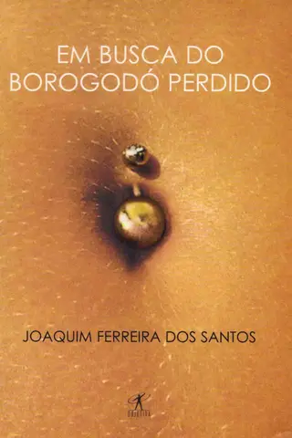 Cover of Em Busca do Borogodó Perdido