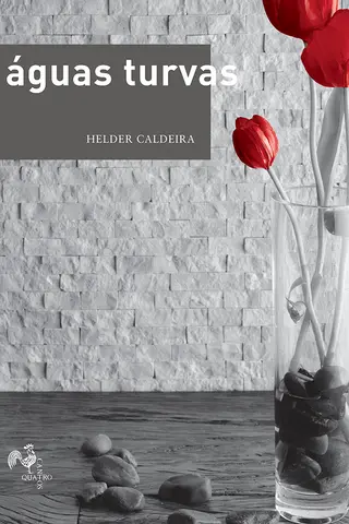 Cover of Águas Turvas