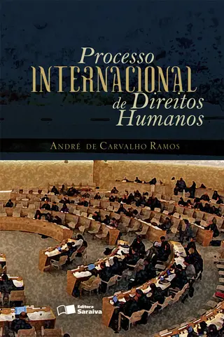 Cover of Processo Internacional de Direitos Humanos